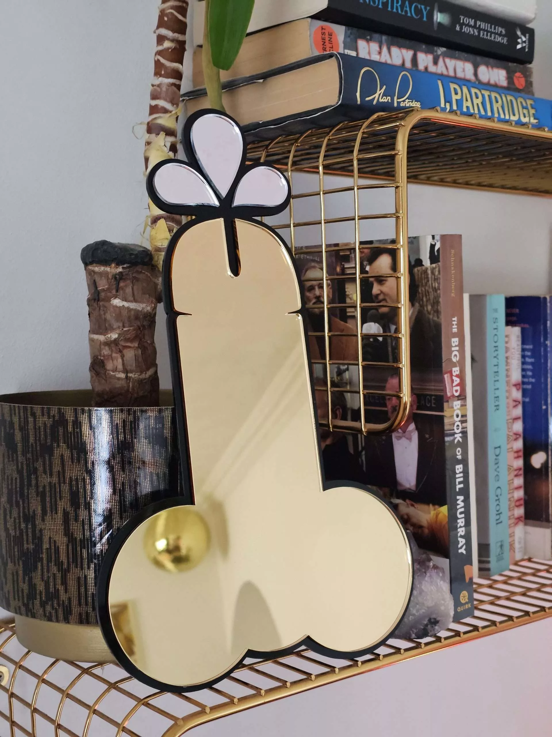 A handmade mirror in the shape of a penis.